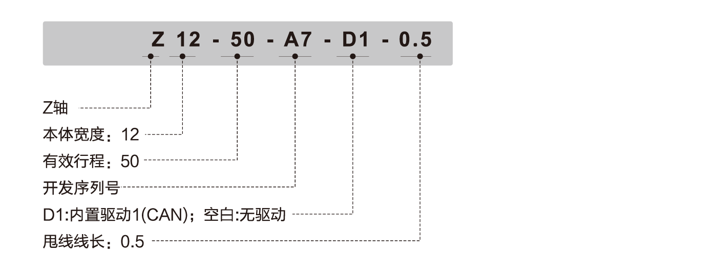 网站图片_画板 1.png